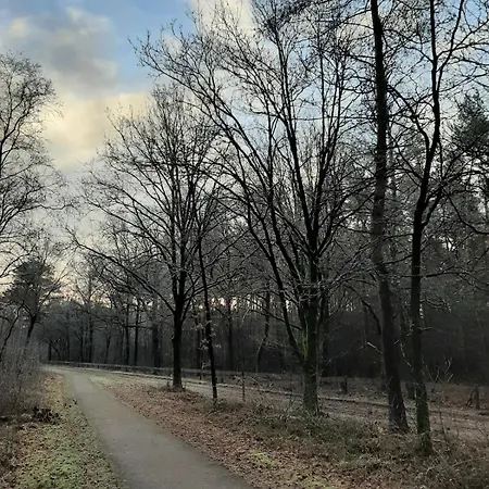 בית נופש De Groene Zoom אוטרלו